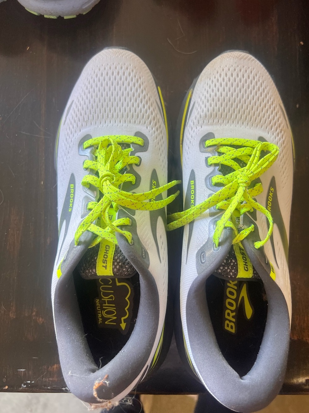 Brooks Ghost 15